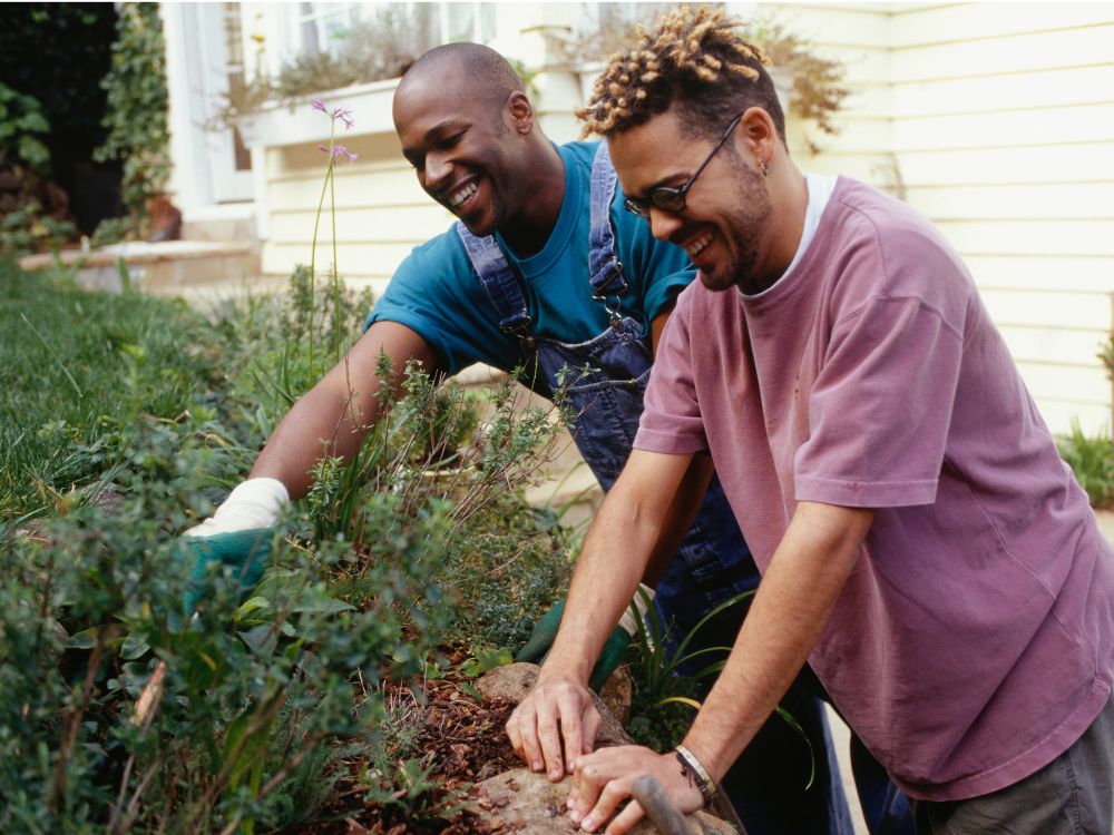 Gardening enthusiast audience segment