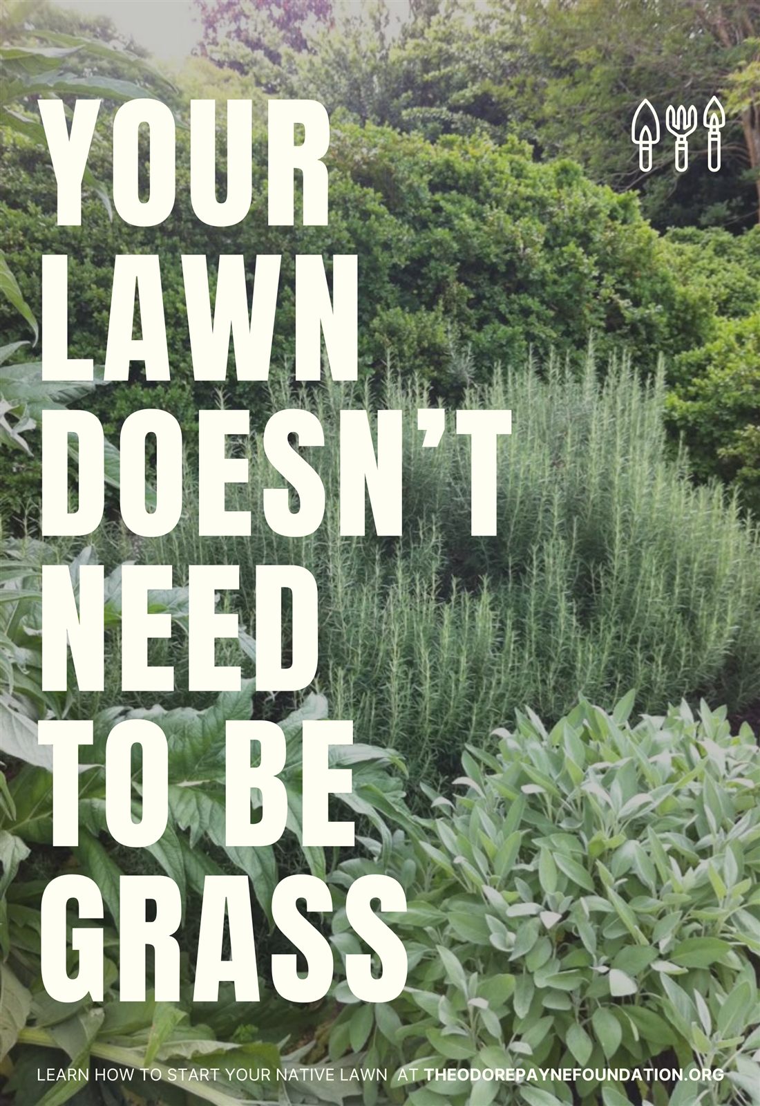 Exploration 1 poster variation showing a lawn alternative, version 1