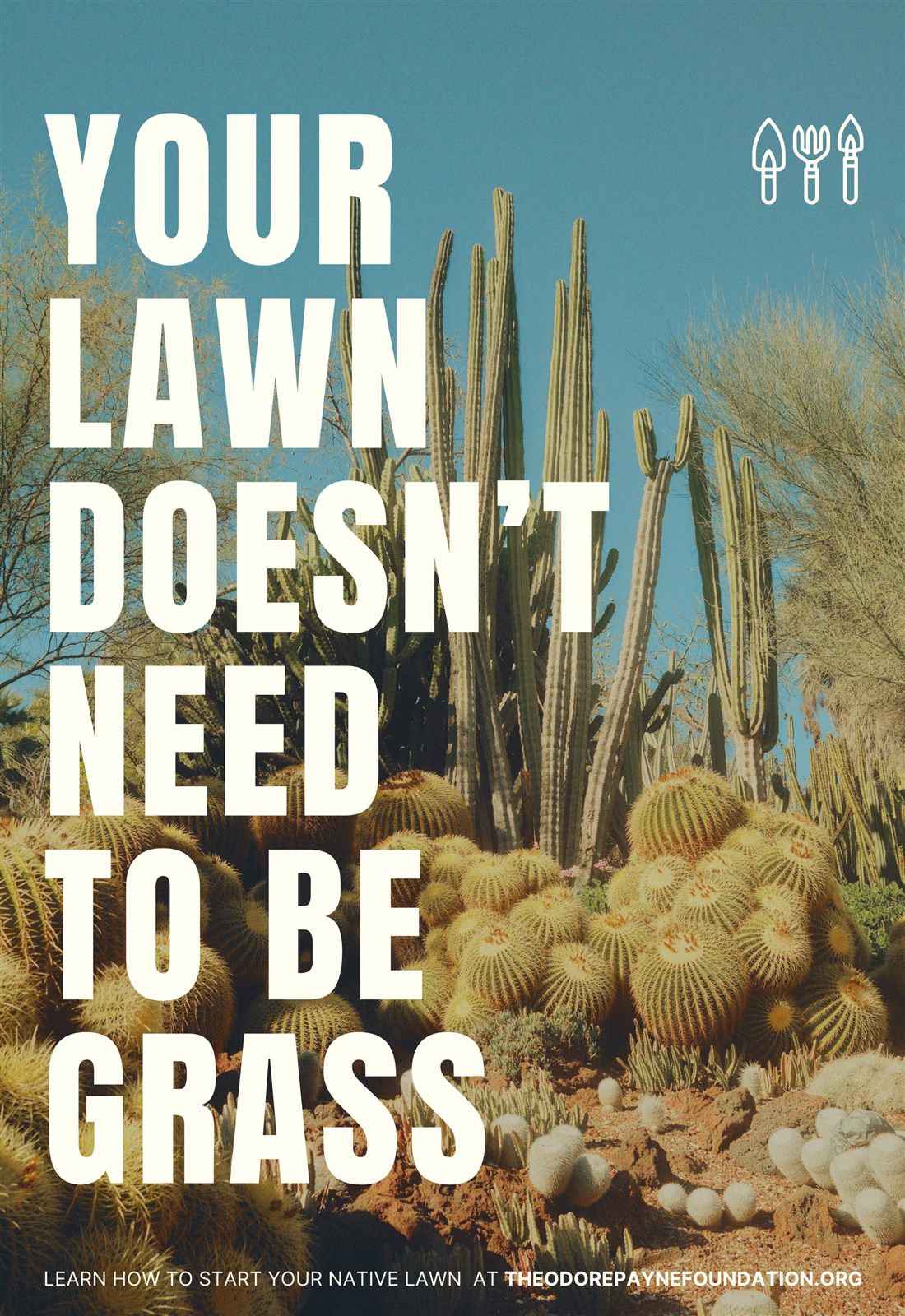 Exploration 1 poster variation showing a lawn alternative, version 2