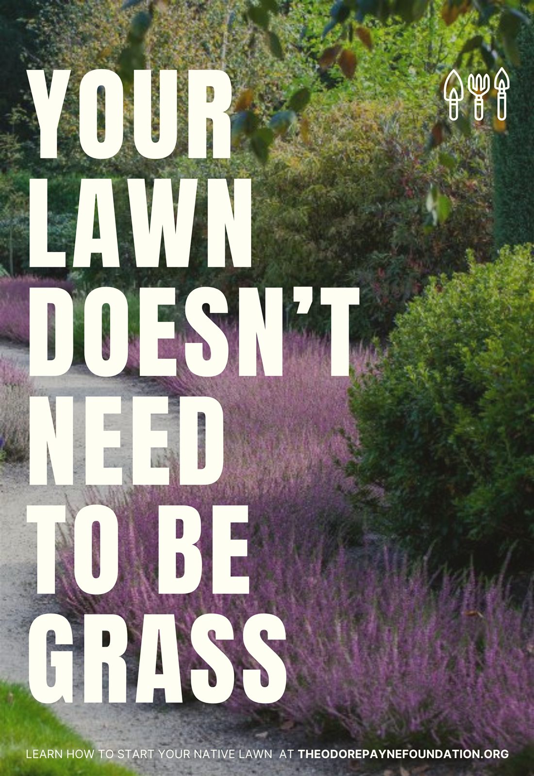 Exploration 1 poster variation showing a lawn alternative, version 3