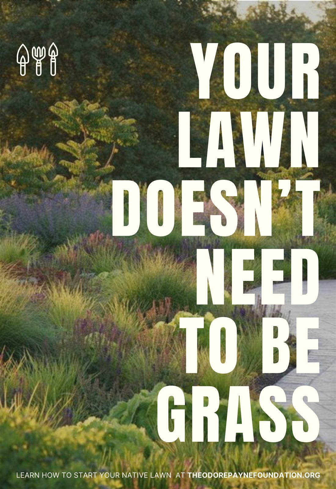 Exploration 1 poster variation showing a lawn alternative, version 4