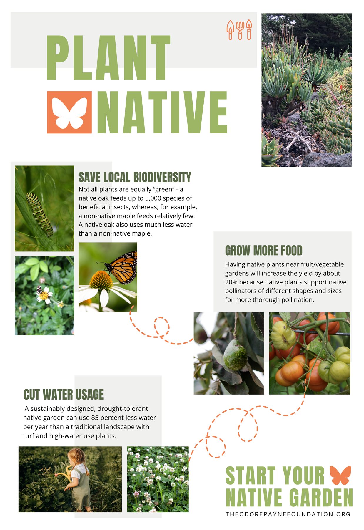Exploration 2, an informational poster on the benefits of native planting