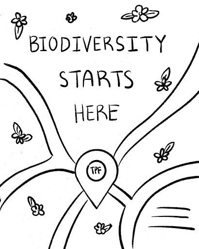 Poster rough: Biodiversity Starts Here, a map illustration