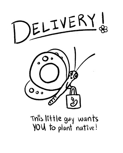 Poster rough: Delivery, a butterfly delivering native seeds