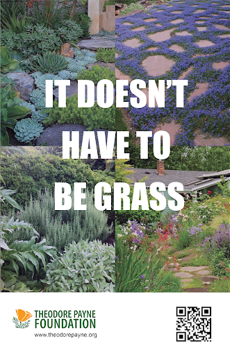 Semi-tight poster mockup: It Doesn't Have to Be Grass, photo grid layout