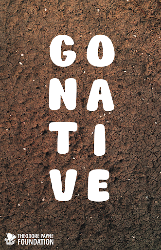 Semi-tight poster mockup exploring the lawn-alternative campaign direction